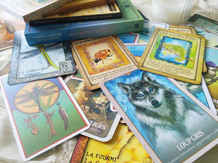 Animal Totem et médecine animale : quel oracle choisir ?