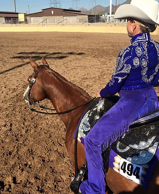 Horsemanship AzPHC.jpg