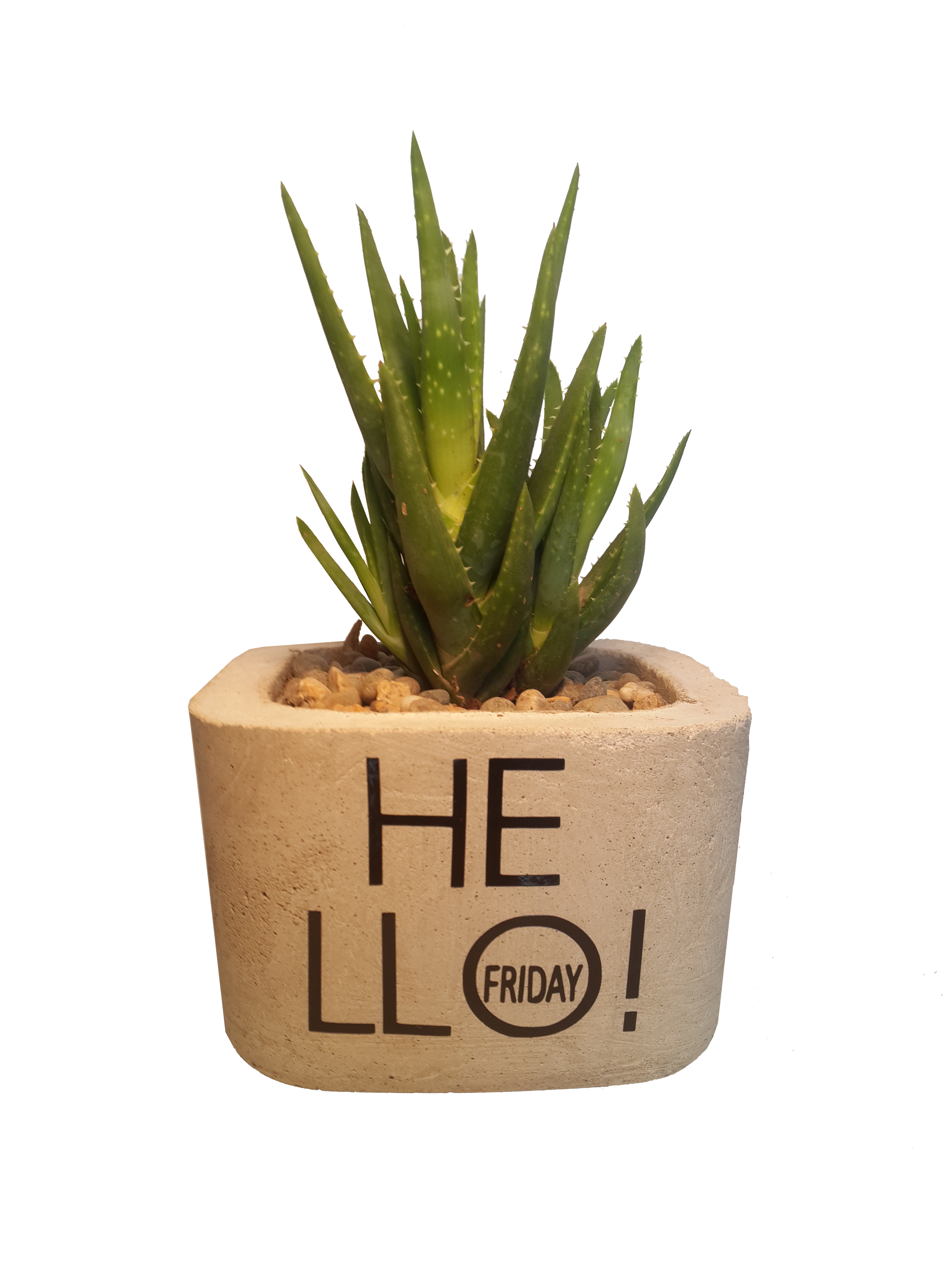 MACETA CUBE CON FRASE