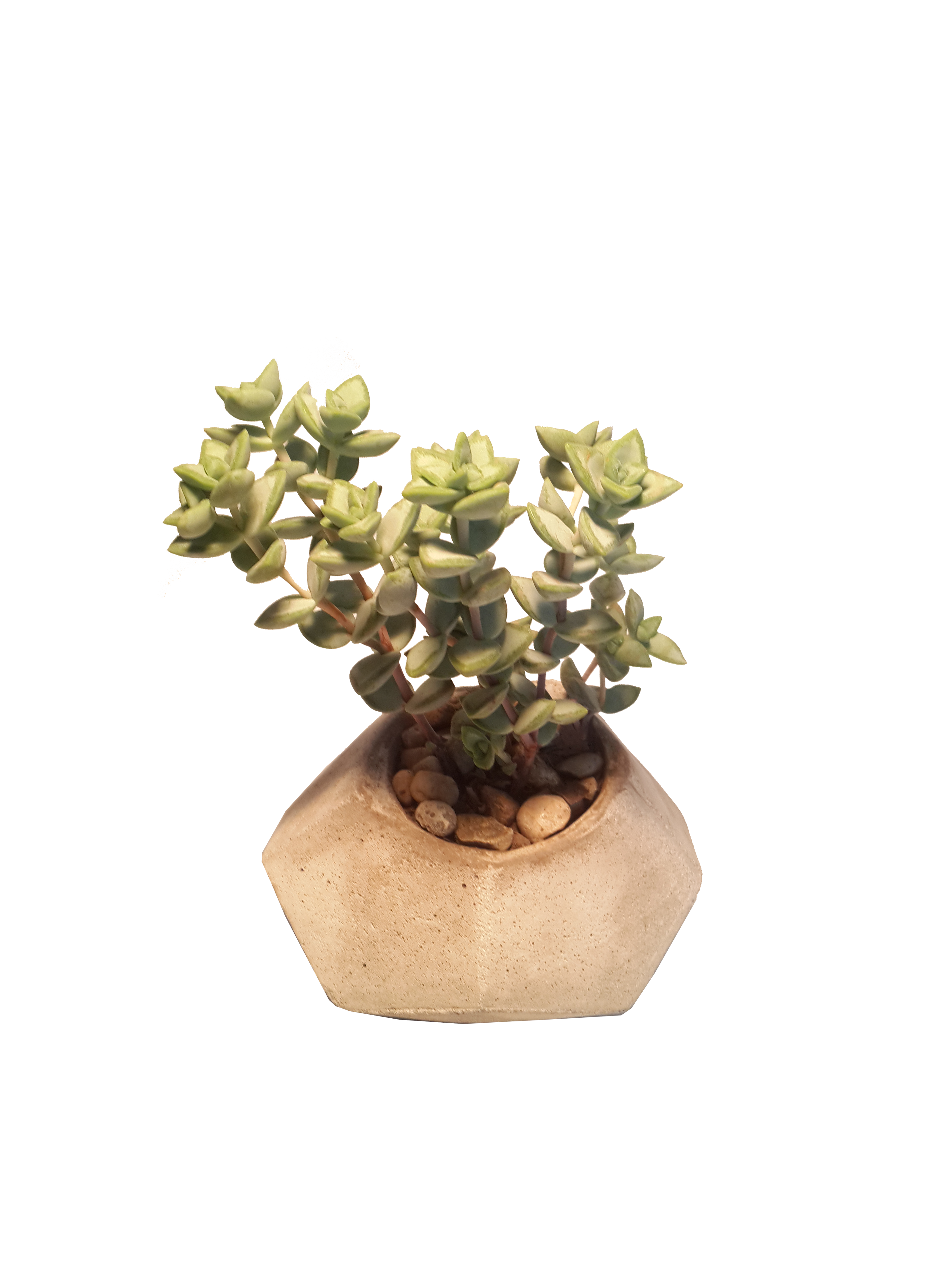 MACETA DIHEDRAL Modelo 1