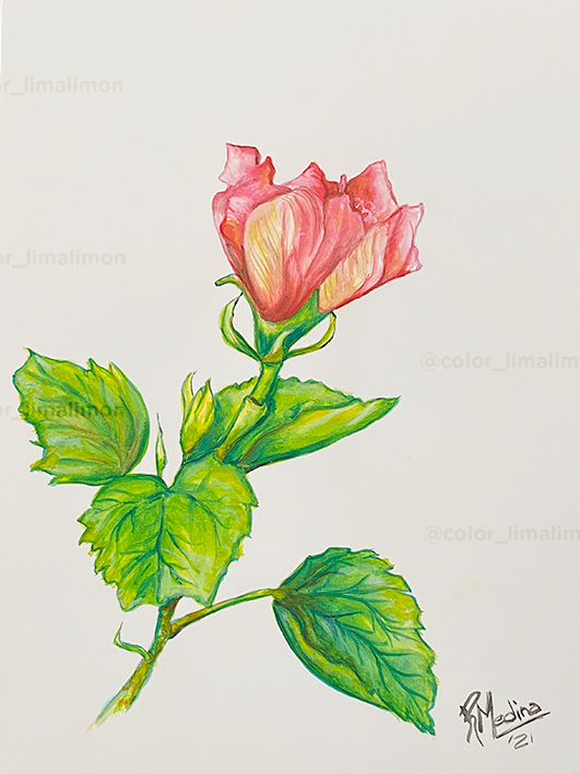 Miniatura: Decorativo Flores · cuadros X2