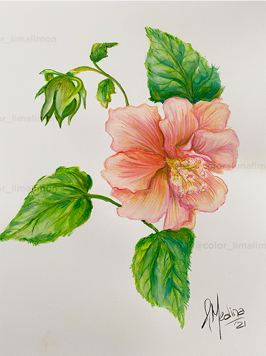 Miniatura: Decorativo Flores · cuadros X2