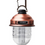 Thumbnail: BAREBONES LANTERN BEACON HANGING