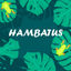 Foto del escritor: Hambatus 