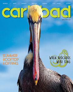 22.3 COVER_mayjun2026.jpg