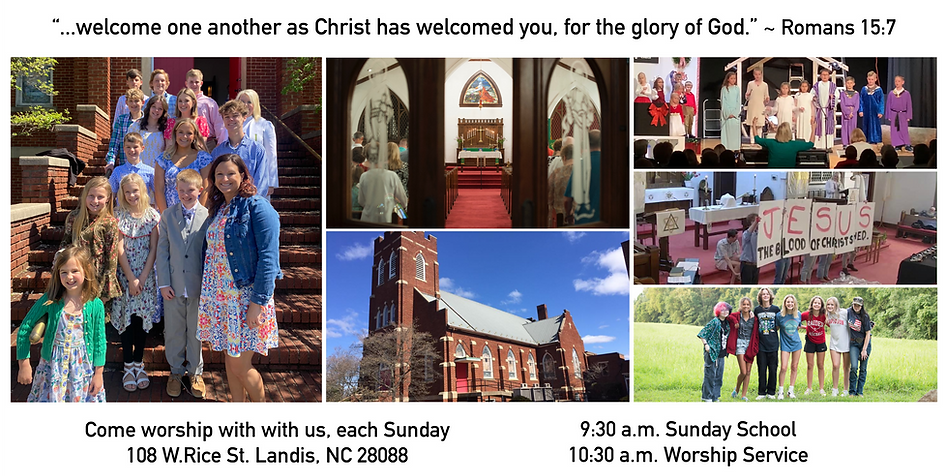 TLC collage 2 (053023).png