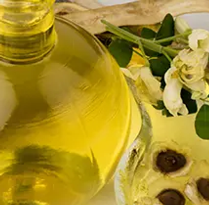 Fresh Moringa Oil with Moringa Floweron the White Table.