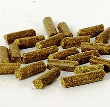 Moringa Pellets on the white background
