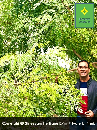 Moringa Farm Day View