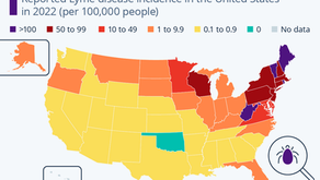 Lyme Disease Is Prevalent in the Northeast