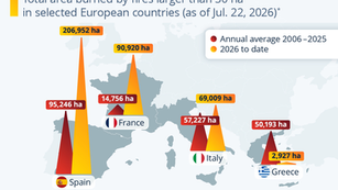 Wildfires Ravage Southern Europe