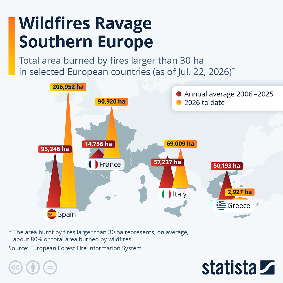 Wildfires Ravage Southern Europe