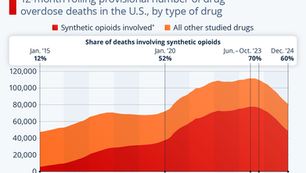 Fentanyl Crisis Eases but Remains Dominant