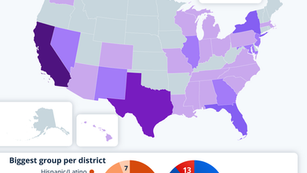 America's Majority-Minority Districts