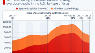 Fentanyl Crisis Eases but Remains Dominant