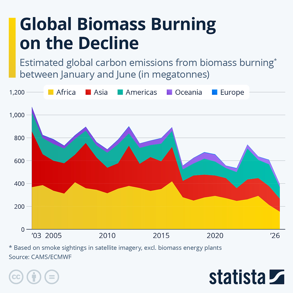 Global Biomass Burning on the Decline