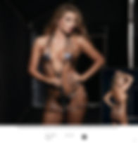 naughty lingerie and pasties