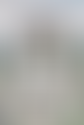 Samples of Wedding Planning Guide pages.