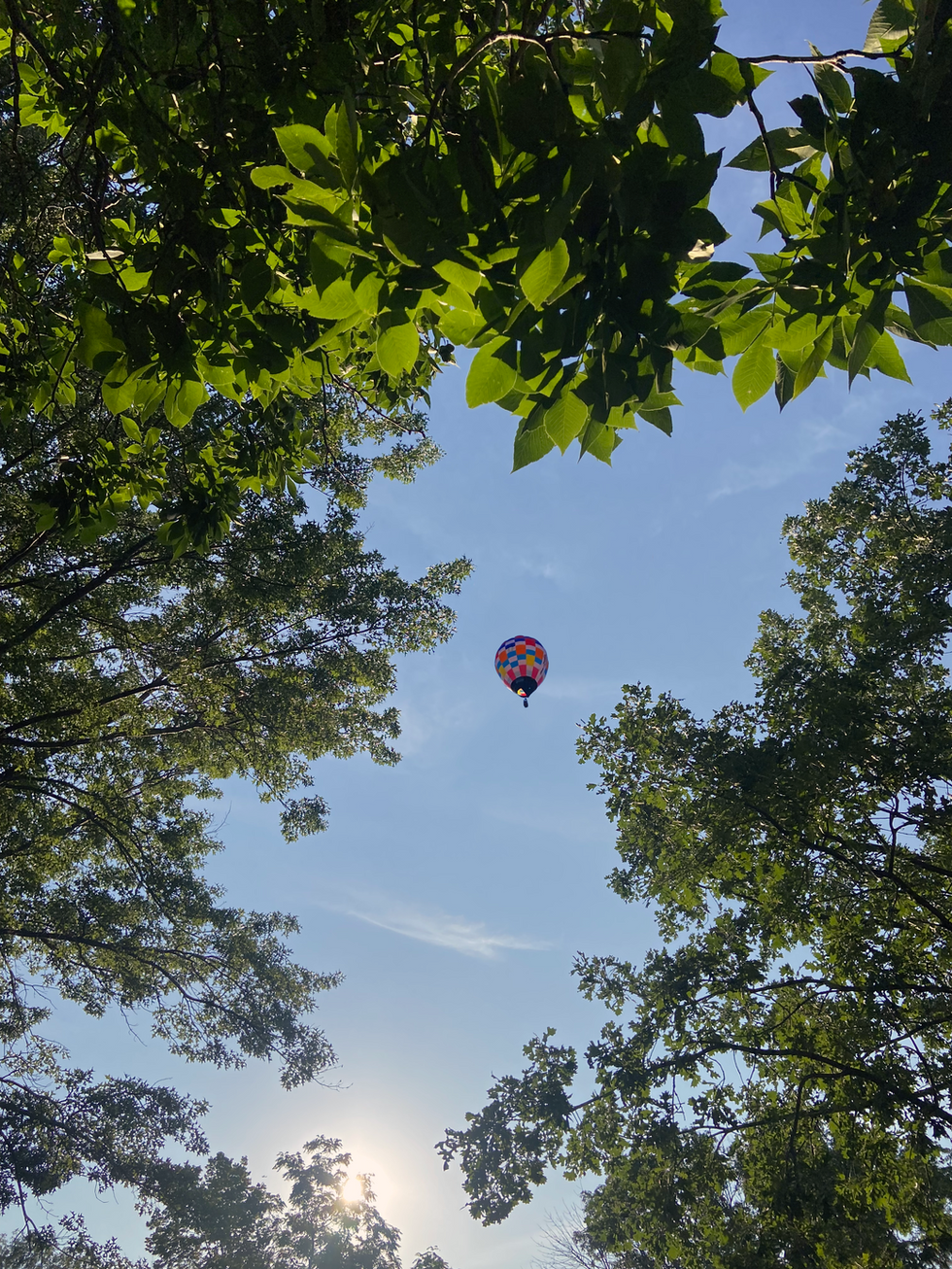 Hot Air Balloon for fair_.png