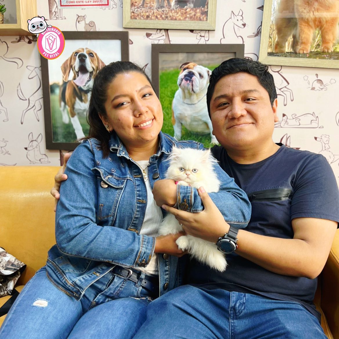 Un Siames llego a casa