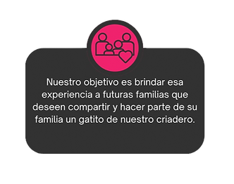 Somos el único criadero LEGAL mas grande