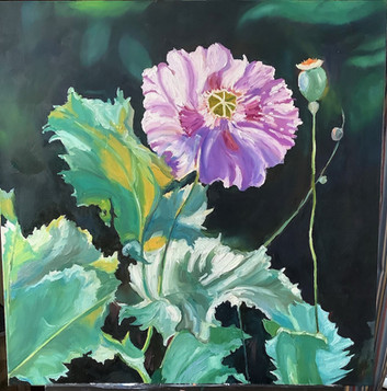 The First Flower.jpeg