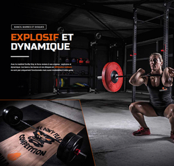 FIBO3