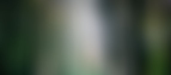 Tomorrowland presents CORE Festival full lineup and timetable