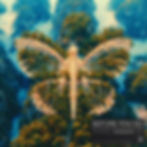 Before you go: Dimitri Vangelis & Wyman and Kevin de Vries unite on Tomorrowland Music