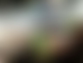 Chinois Residencies Begin - Claptone, Honey Dijon, Francis Mercier, Bedouin, plus SONDELA’s Chinois Debut