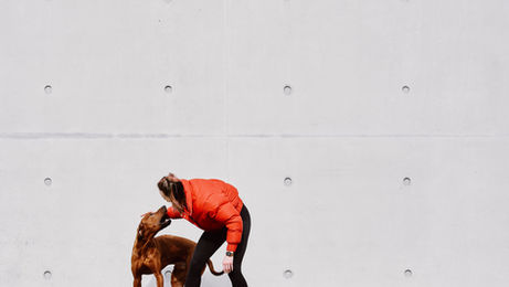 Berlin Dog School: Female with Rhodesian Ridgeback