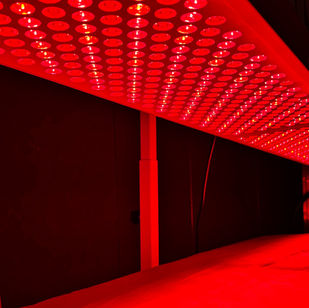 PlatinumLED full body red light therapy at The Well Haus Mt Juliet, TN