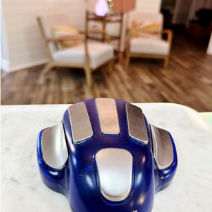 ZYTO biofeedback scan at The Well Haus in Mount Juliet TN EVOX perception reframing emotional balance Mt Juliet, TN