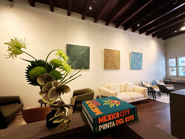 dentalis-calm-lounge-reception-for-nervous-patients