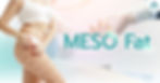 Meso Fat
