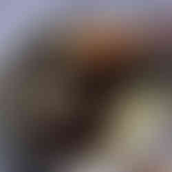 oreo barfi diwali recipe indian mithai