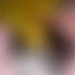 Gujarati Sweet Mango Khandvi Paturi Patudi Recipe