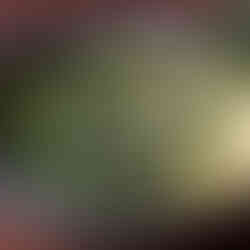 garlic butter recipe