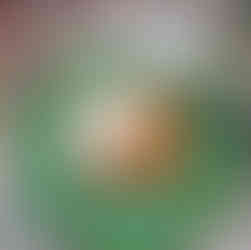 Indian street food papdi bhungla chaat