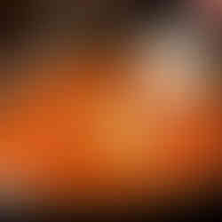 Masala beans indian cooking recipe