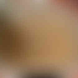 sprouted vaal beans field beans sib daar