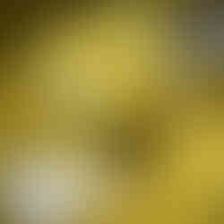 Gujarati Mango Kadhi Fajeto Recipe Paaki Keri ni Kadhi