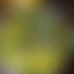 Suji na dhokla vaghar tarka tempering