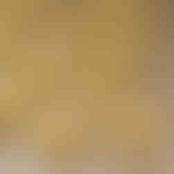 aadu vari biscuit indian ginger nankhatai recipe