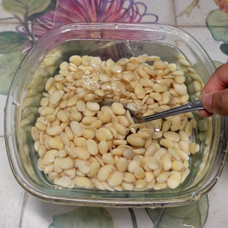 sprouted vaal beans field beans sib daar