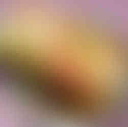 close up of the surti idada with garnished coriander leaves ready to be served