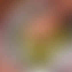 Gujarati suva na muthiya recipe Dill dumplings