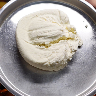 rasmalai fresh chhena paneer