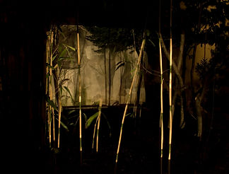 Elaine Tedesco, Villa Raffet 2, Sam Art Projects.jpg