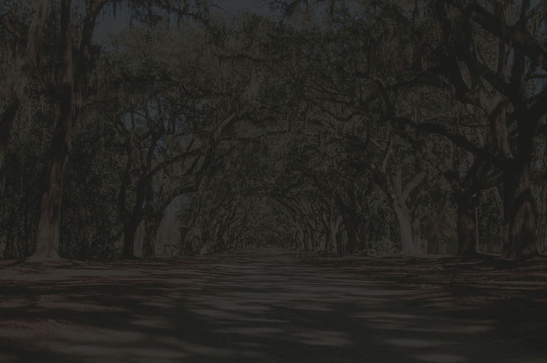savannah_live_oak